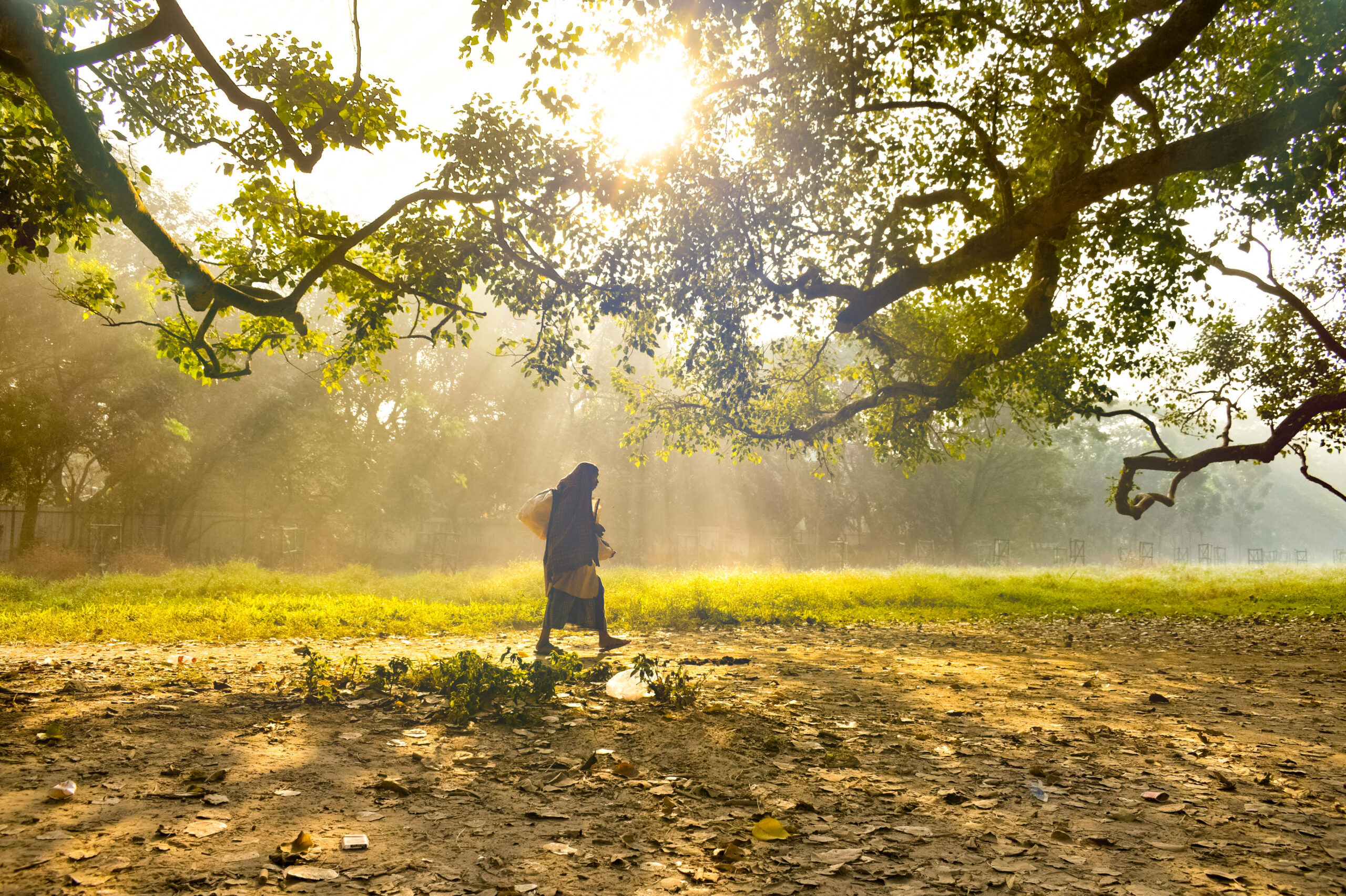 Springtime – An online Photography competition