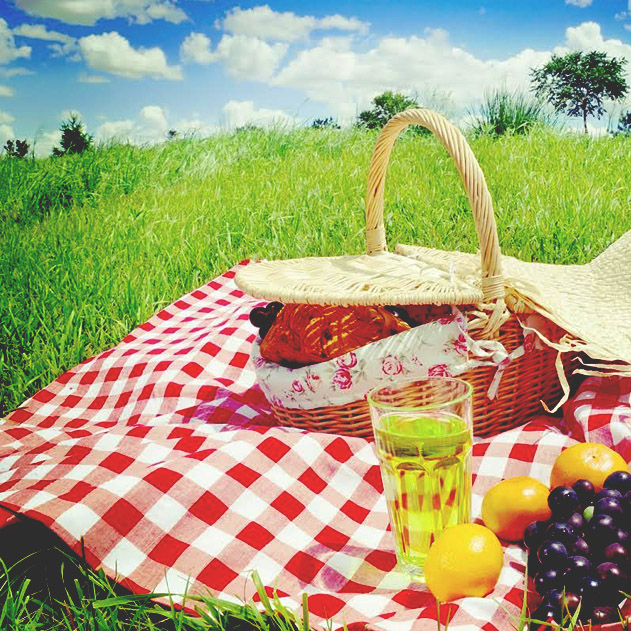 BESC picnic at Ibiza